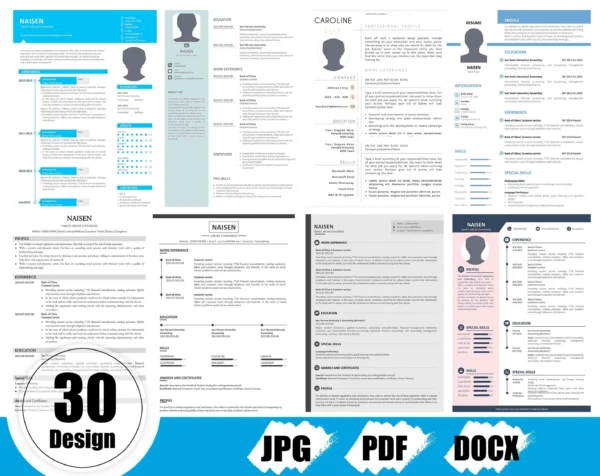 resume_2 CV: 30 Professional Resume Template