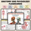 Anatomy & Biology Flashcard