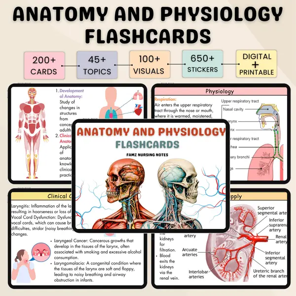 Anatomy & Biology Flashcard