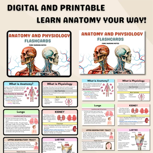 Anatomy & Biology Flashcard